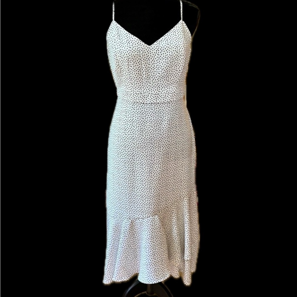 Banana Republic Polka Dot Dress
